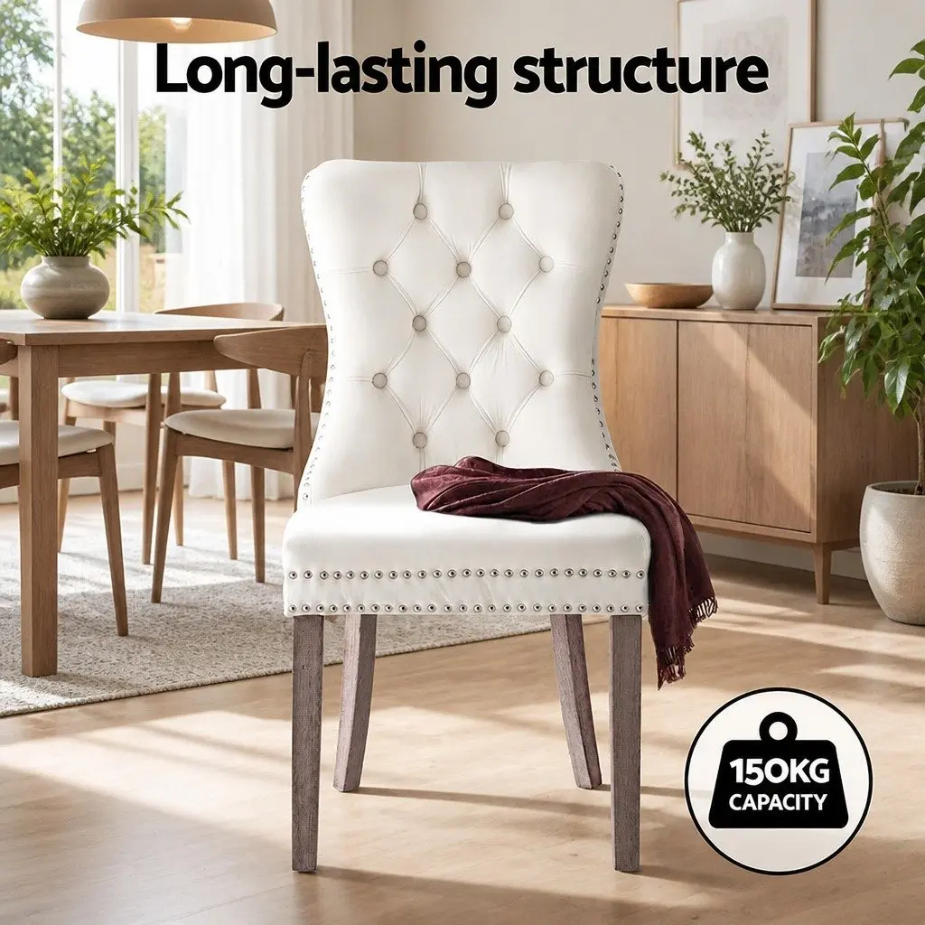 Dining Chairs Set of 4 in Beige Velvet