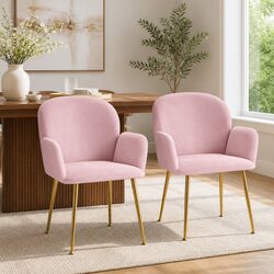 Your New Favorite Dining Chairs - Set of 2 Velvet