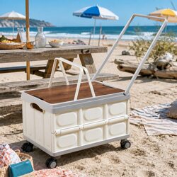 Your New Favorite 54L Storage Box Awaits