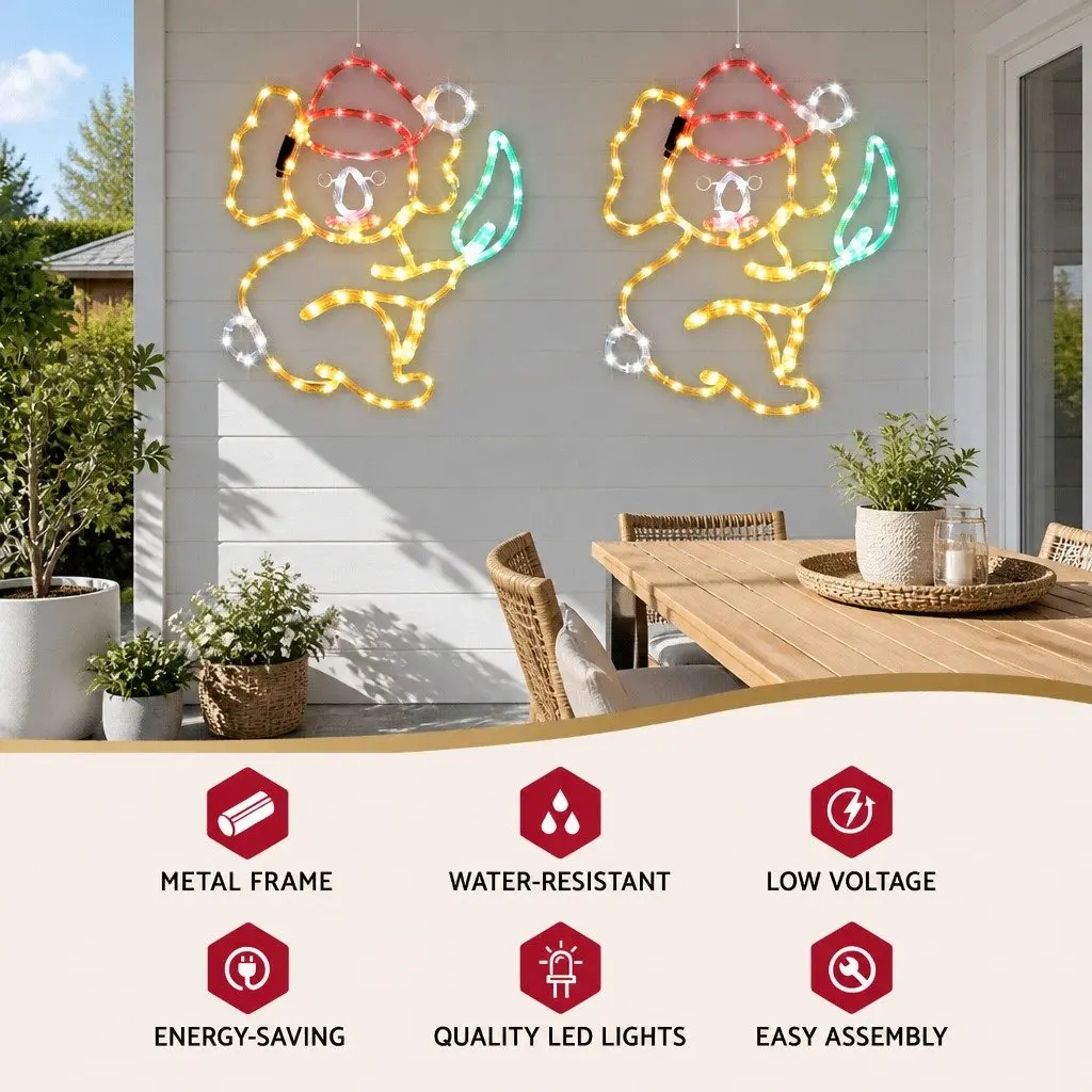 Multicolour LED Lights