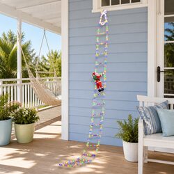 Friendly Christmas Ladder Lights with Santa for Your Home