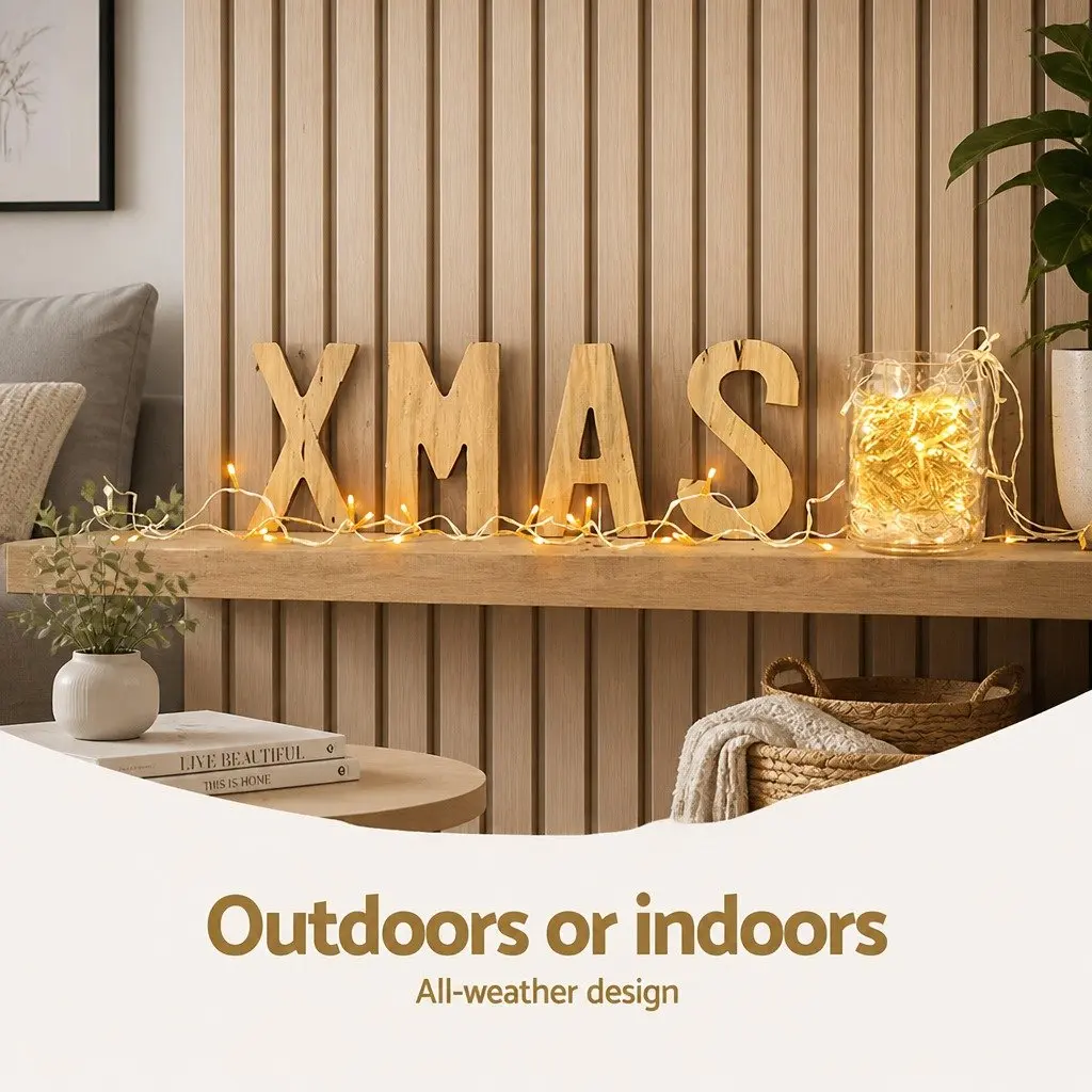 String Lights Warm White 100M 500 LED for Christmas Outdoor Indoor Decoration