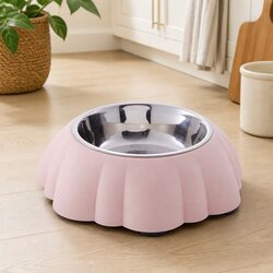 Meet Your Pet's Needs with Our 2 in 1 Bowl
