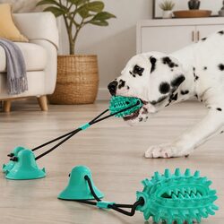 Friendly Suction Toy for Dogs - Fun and Engaging
