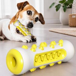 Your Dog Will Love This Toothbrush Toy