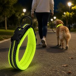 Friendly Reflective Dog Collar with Safe Attachment