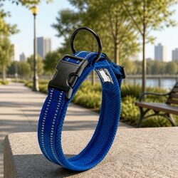 Your Dog's Safety First: Reflective Blue Heavy Duty Collar