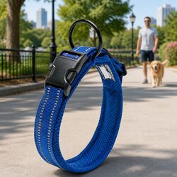 Your Friendly Reflective Dog Collar with Safety Features