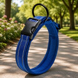 Your Go-To Reflective Dog Collar for Safety