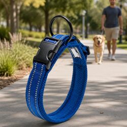 Your Dog's Safety First with This Durable Collar