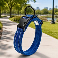 Friendly Blue Heavy Duty Dog Collar with Safety Lock, 2XL