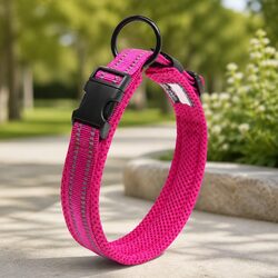 Friendly Reflective Pink Dog Collar for Your Pet
