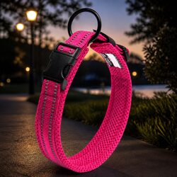 Friendly Reflective Dog Collar for Your Pet's Safety