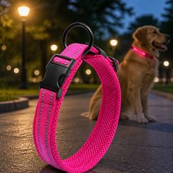 Heavy Duty Reflective Dog Collar with Safety Lock Clip Buckle and Stainless