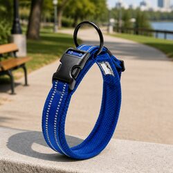 Your Perfect Reflective Dog Collar for Safety and Style