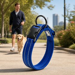 Heavy Duty Reflective Dog Collar with Safety Lock Clip Buckle Stainless Steel O