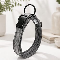 Your Pet's Safety with the XS Grey Dog Collar