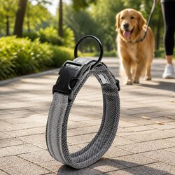 Your New Heavy Duty Dog Collar for Safety and Comfort