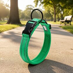 Friendly XS Green Dog Collar with Reflective Features
