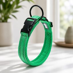 Your New Favorite Reflective Dog Collar