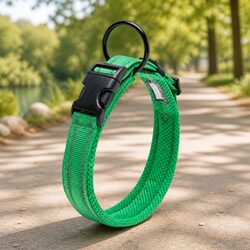 Heavy Duty Reflective Dog Collar with Safety Lock Clip M Size Pet Training Lead
