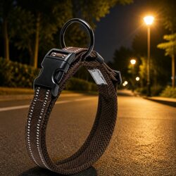 Your Friendly XS Reflective Dog Collar for Safety