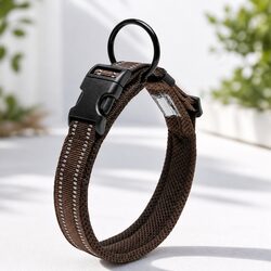 Friendly Reflective Dog Collar for Safe Walks