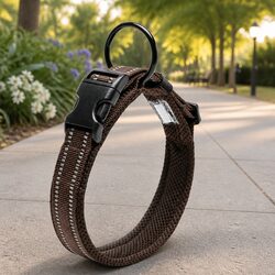 Your Dog's Heavy Duty Reflective Collar with Safety Lock