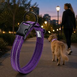 Find Comfort in Our XS Purple Reflective Dog Collar
