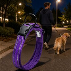 Heavy Duty Reflective Dog Collar with Safety Lock Clip and Stainless Steel O