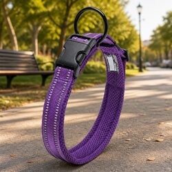 Heavy Duty Reflective Dog Collar with Safety Lock Clip Buckle and Stainless