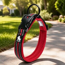 Friendly XS Reflective Dog Collar for Your Pet