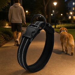 Friendly XS Heavy Duty Black Dog Collar with Safety Features