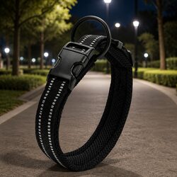 Get a Reflective Dog Collar with Safety Features