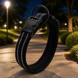 Your Dog's New Safety Collar Awaits You