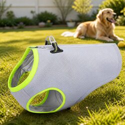 Your Dog's Best Summer Companion: The Cooling Vest