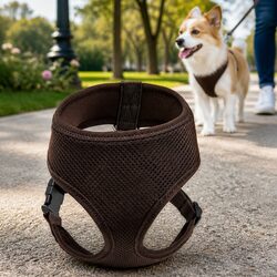 Your Friendly Dog Harness with Adjustable Chest Belt L Brown