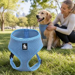 Dog Harness Steel D Ring Adjustable Breathable Mesh Pet Walking Harness Blue