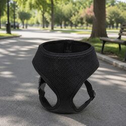 Your Go-To XS Dog Harness - Breathable Mesh for Comfort