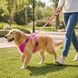 No Pull Dog Harness Breathable Mesh Reflective Safety Handle Medium Pink
