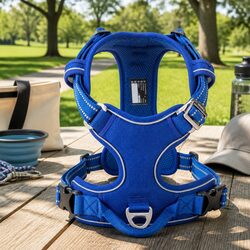 Your Dog’s New Favorite: XL No Pull Harness with Features