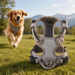 No Pull Dog Harness with Reflectors Breathable Mesh Handle Large Pet Adventurer