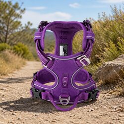 Your Perfect XS Purple Dog Harness for Safe Walks
