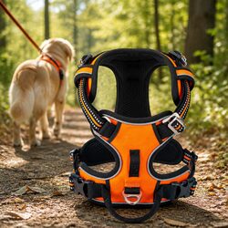 Small Reflective No Pull Dog Harness in Orange with Mesh