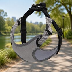 Dog Harness Adjustable Straps Multiple Attachment Points Pet Safety Control M