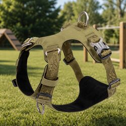 Get Comfortable with This XL Tactical Dog Harness