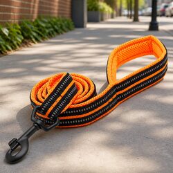 Reflective Dog Leash 2m Nylon Lead with Swivel Hook Lightweight Durable Pet