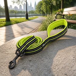 Friendly 2m Reflective Dog Leash with Ergonomic Design
