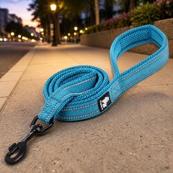 Friendly 2m Blue Reflective Dog Leash for Easy Handling