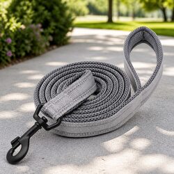 Your New 2m Reflective Dog Leash for Safe Walking